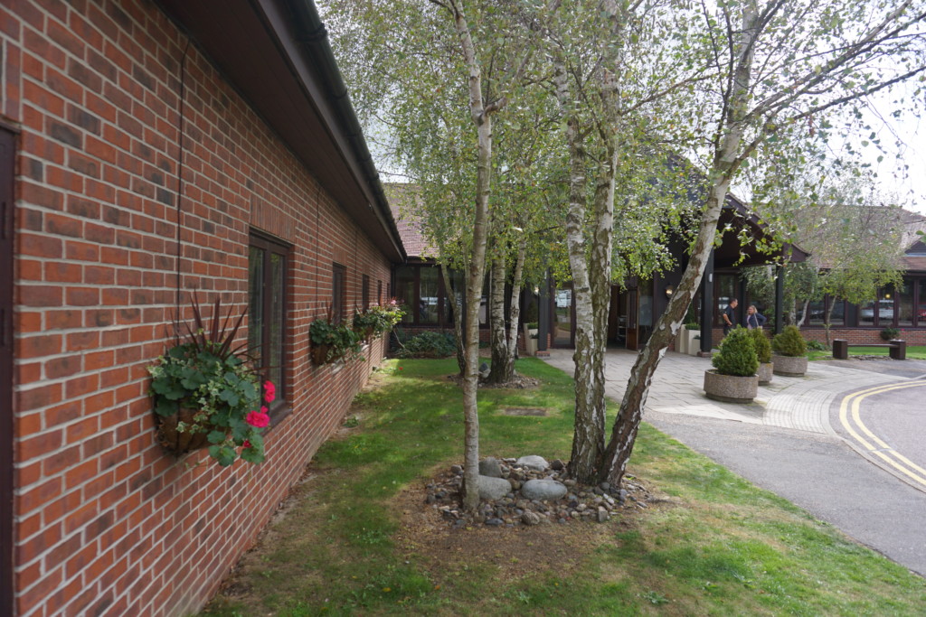 maintained lawn behind a brick building