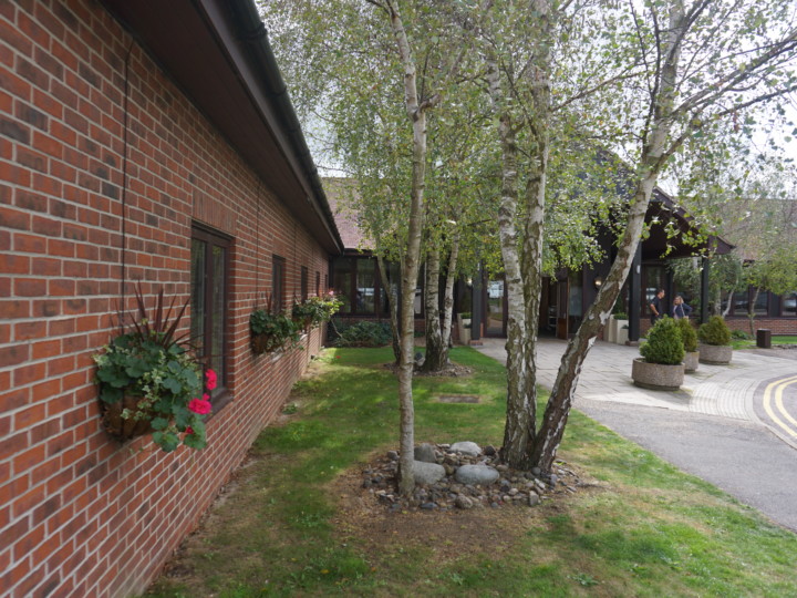 yard with large plants behind a brick building