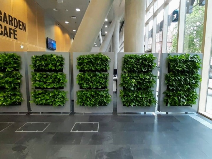 green walls inside building