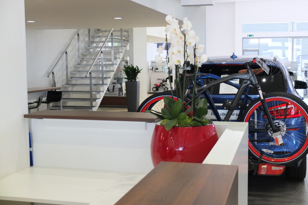 modern building with a car and indoor plant on display