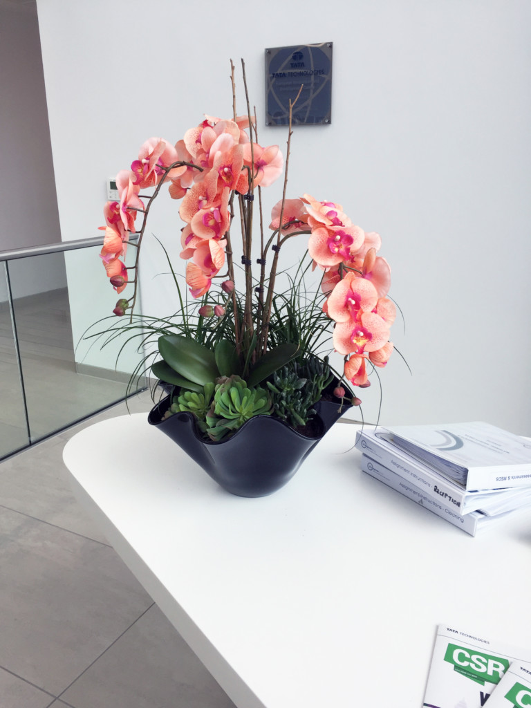 pink indoor flower on a table