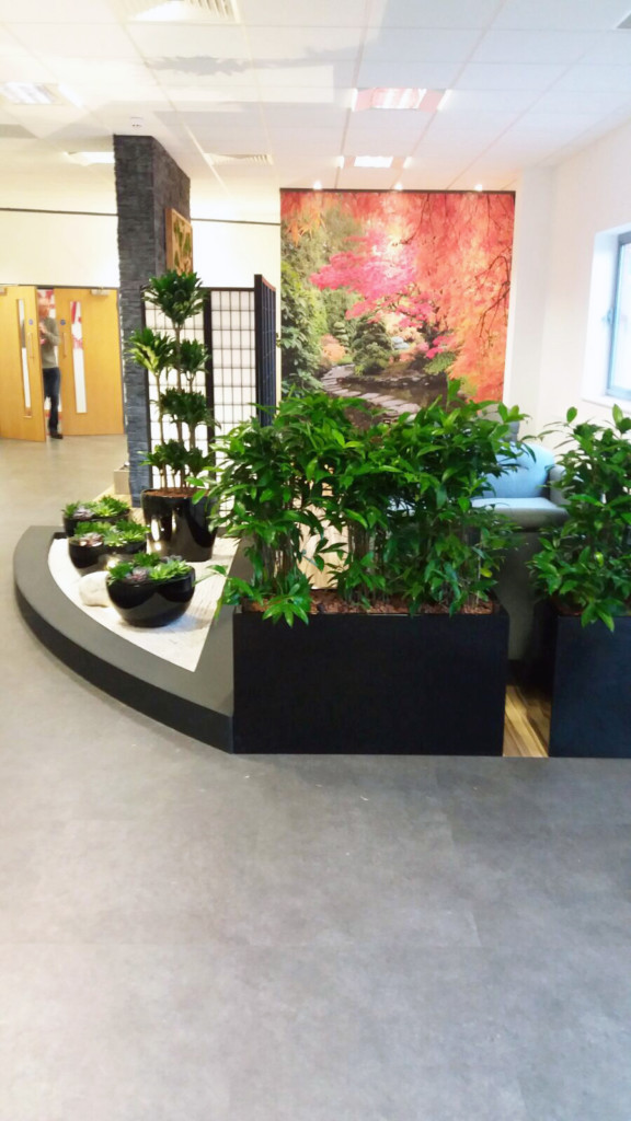 couch surrounded by indoor plants in the corner of a room