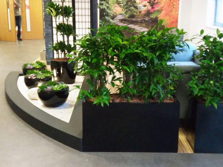 plant display on the side of a room