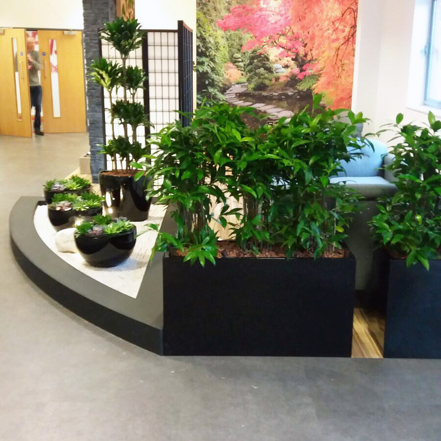 plant display on the side of a room