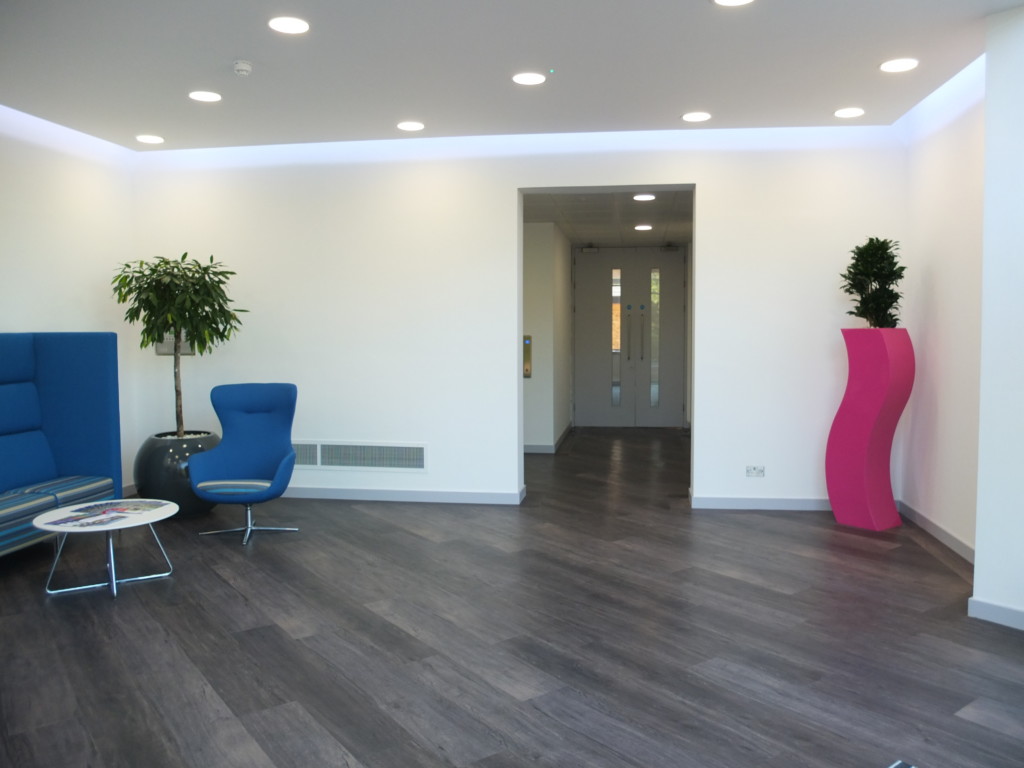 indoor plants by the corner of the room with blue furniture and a pink pot