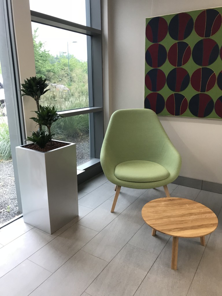 waiting area with indoor plant next to the sit