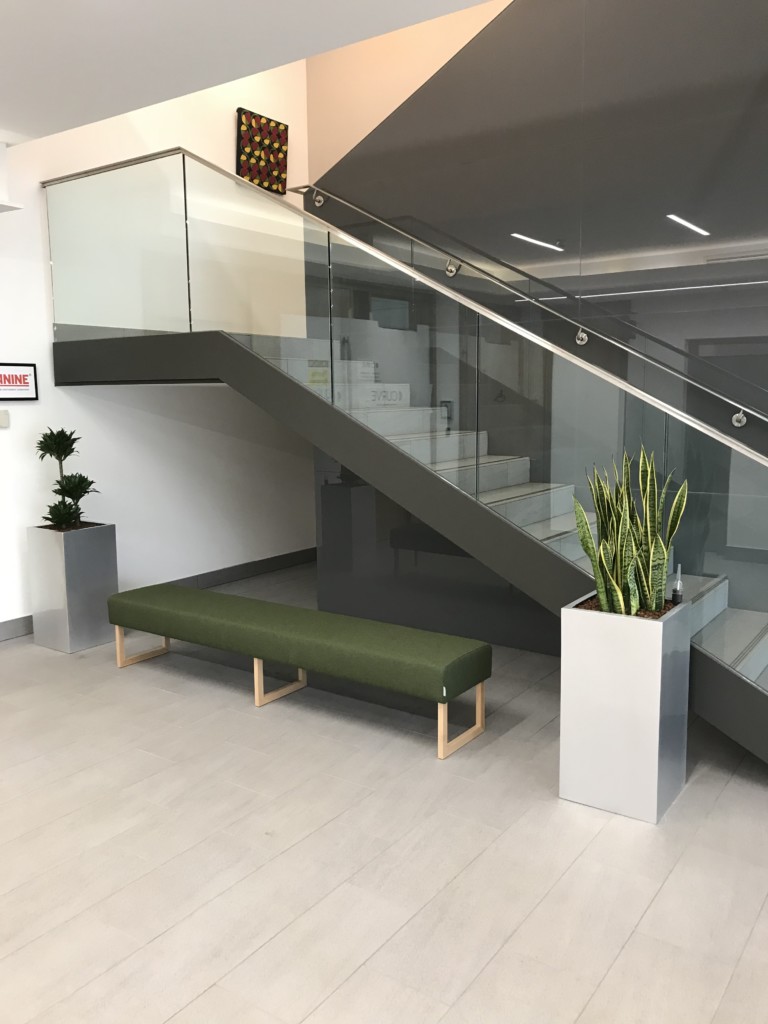 stairs with indoor plants displayed and a green couch