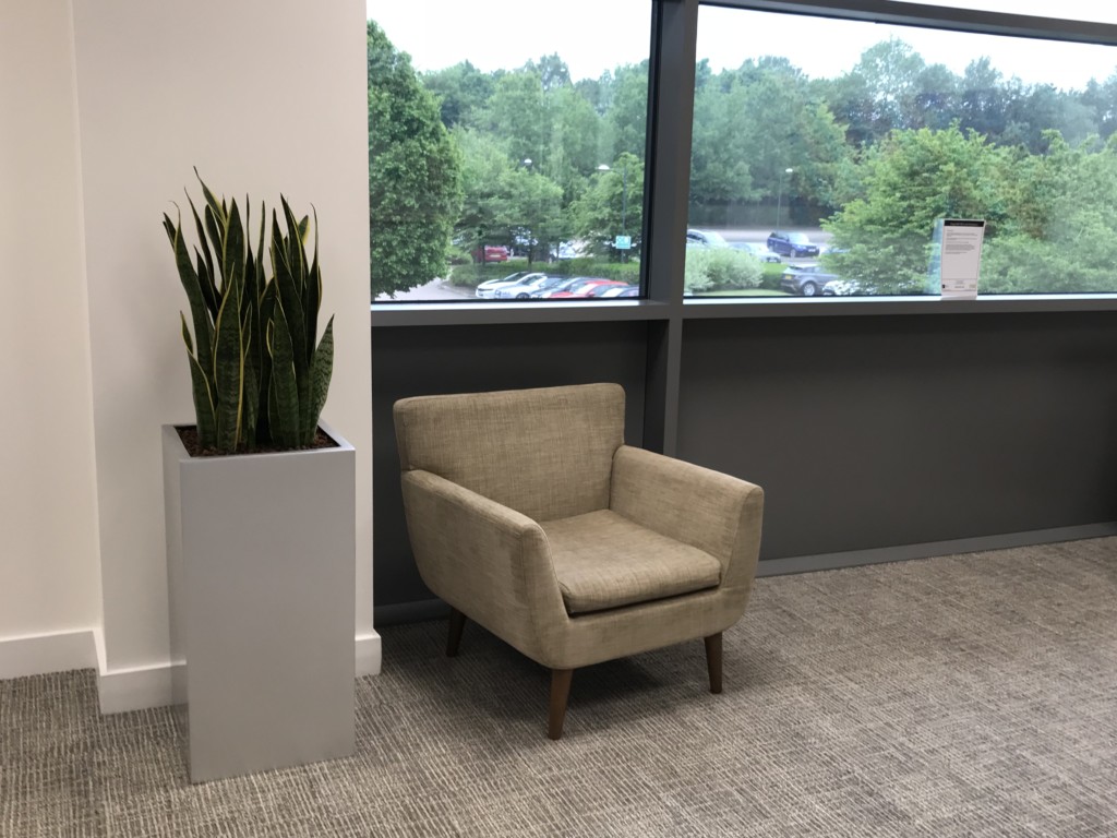 waiting area with indoor plant next to the sit