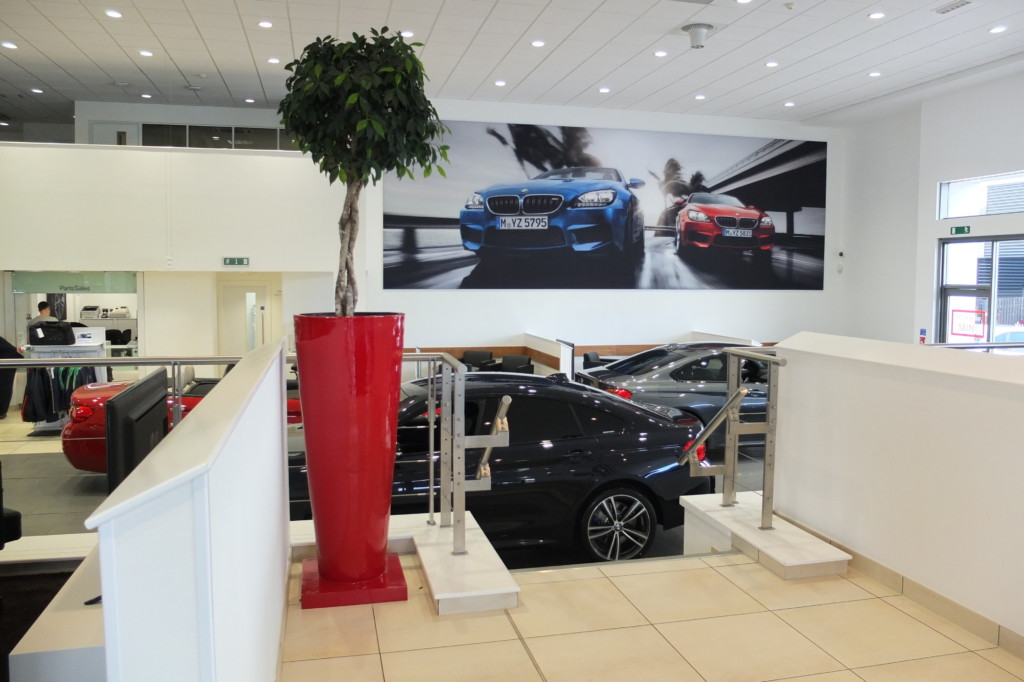 modern building with a indoor plant and cars