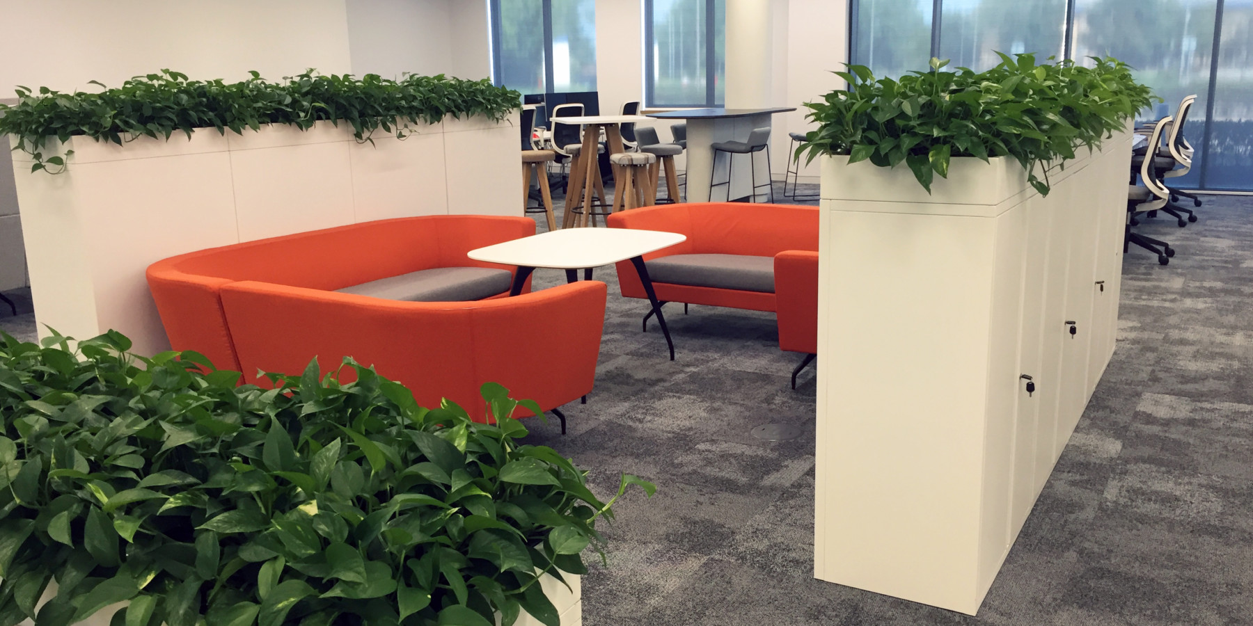 indoor plants displayed around a room