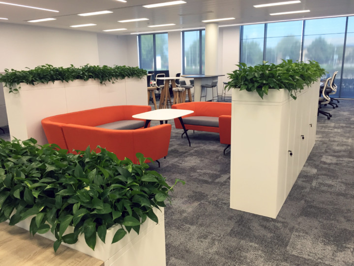 indoor plants displayed around a room