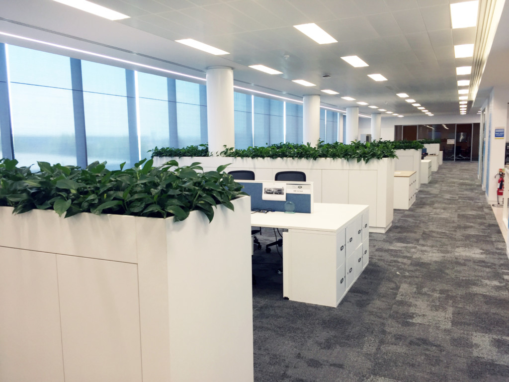 green indoor plants on storage units in office area