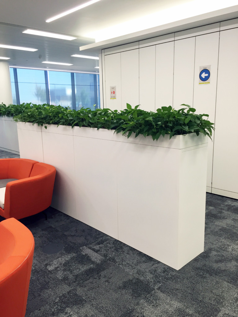 orange couch with green plants displayed on storage unit