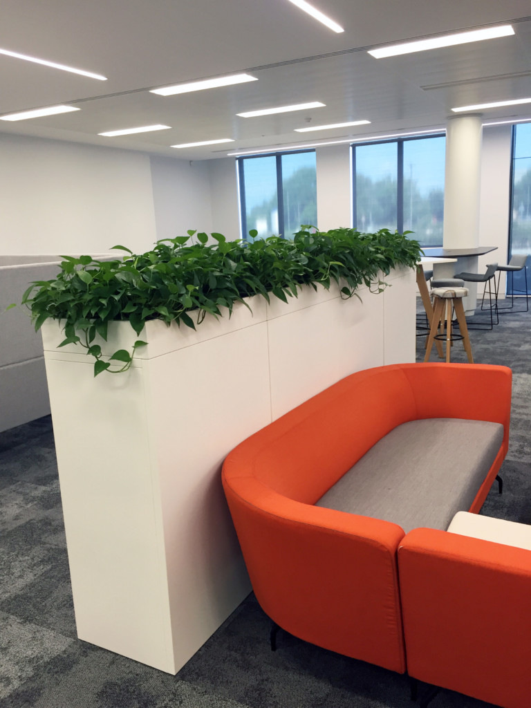 orange couch with green plants displayed on storage unit