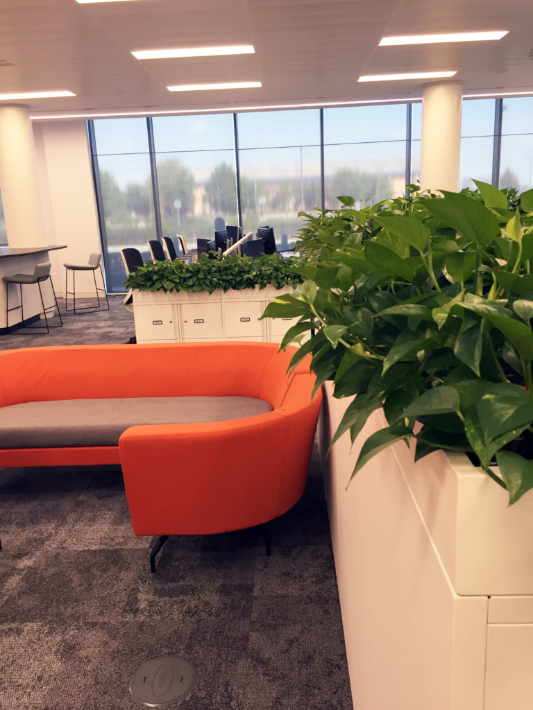 orange couch with green plants displayed on storage units