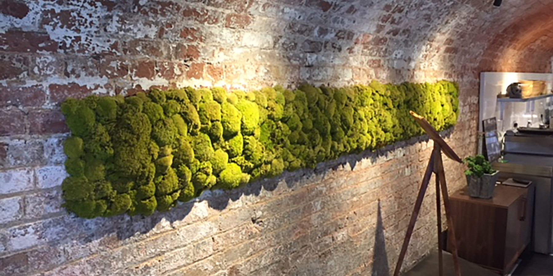 moss wall on a brick wall