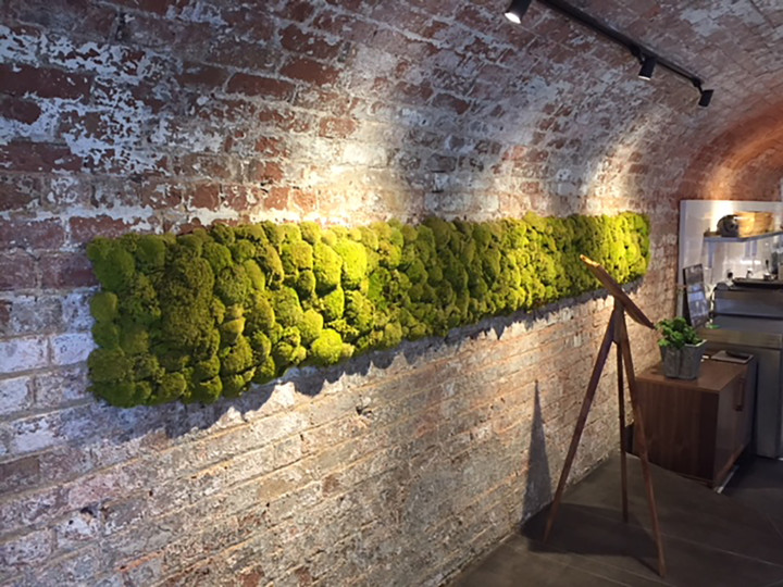 moss wall on a brick wall