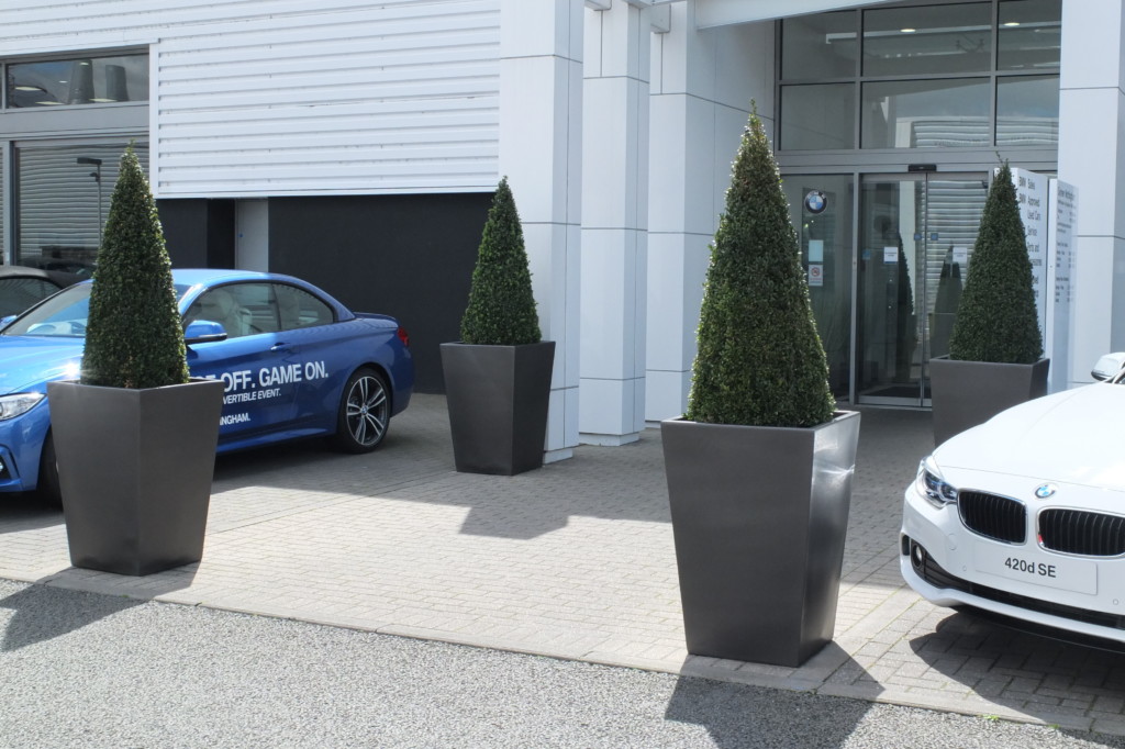 bmw cars outside a building with plants on display by the entrance