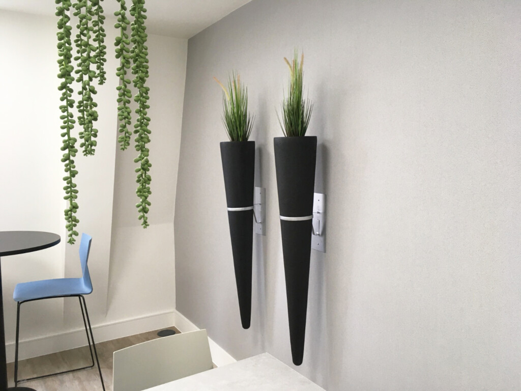 indoor plants hanging from the ceiling and on the wall