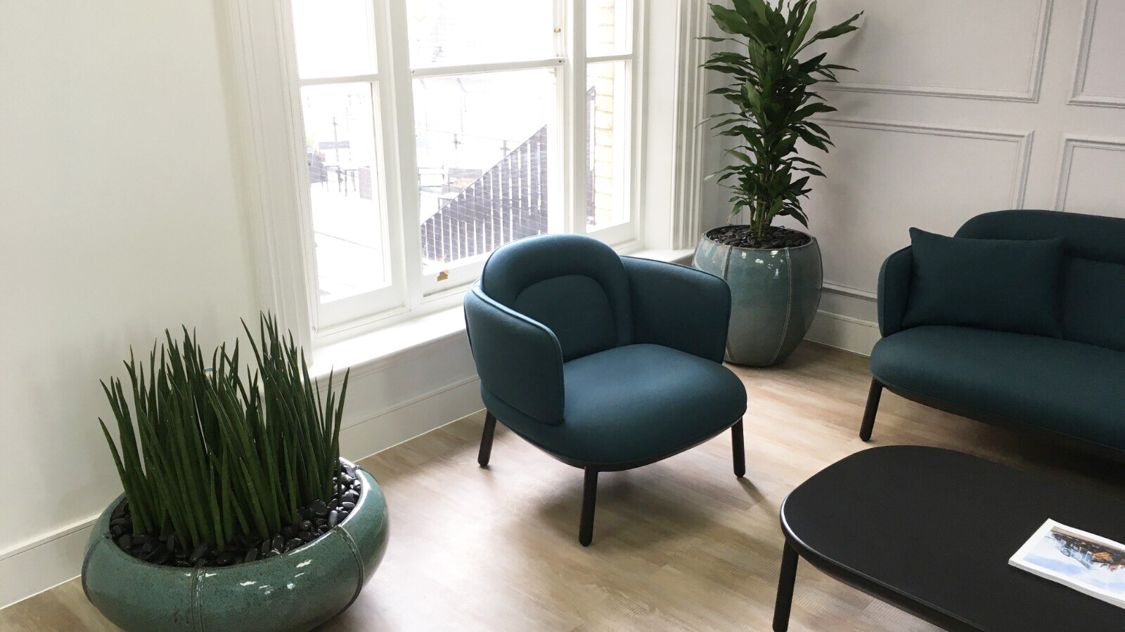 indoor plants in a sitting area with chairs and a table