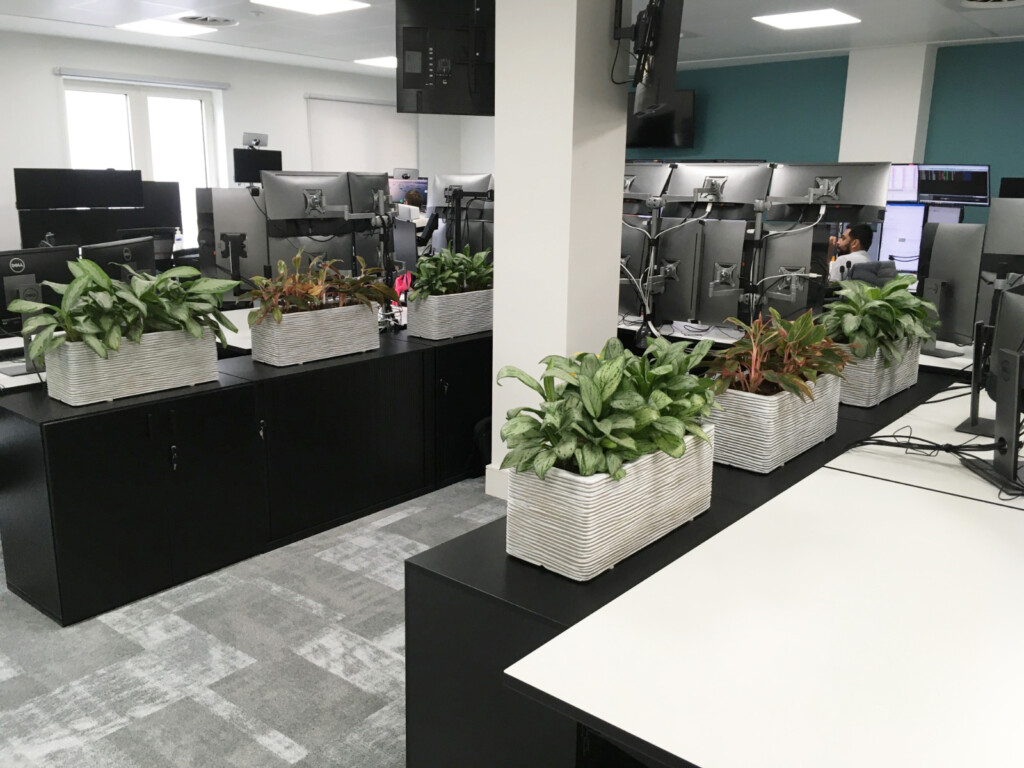 indoor plants placed on the tables of a computer room