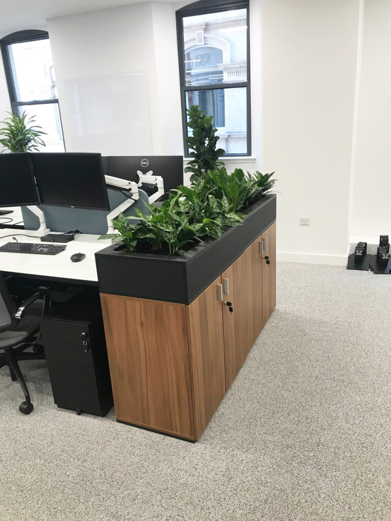 room with computers and indoor plants