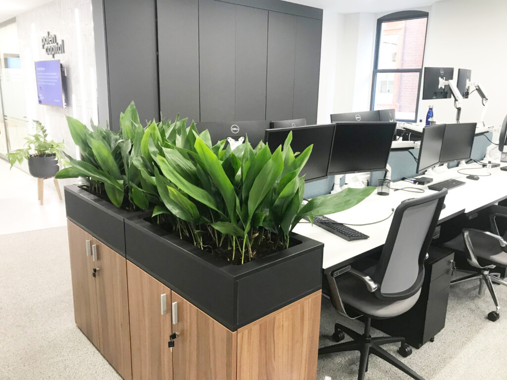 indoor plants in a computer room