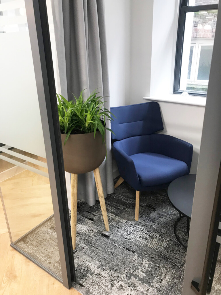 plant placed by a blue couch in a room