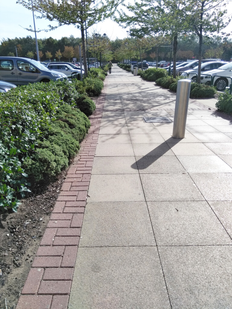 green plants by the parking lot