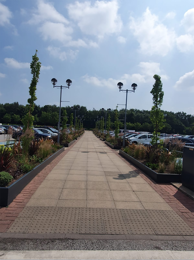 walking path by the parking lot with plants