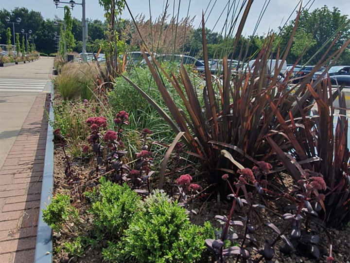 landscaping outside