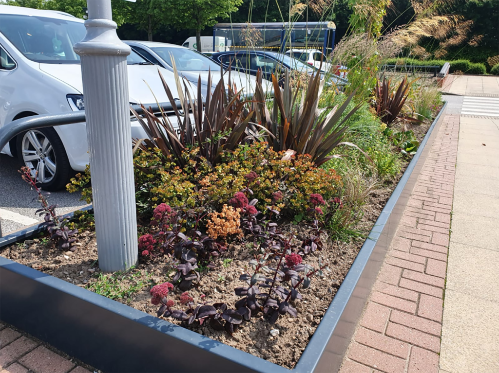 landscaping in a parking lot