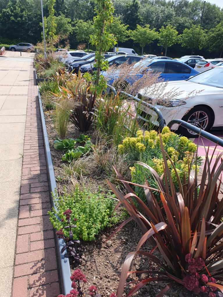 parking lot with landscaping