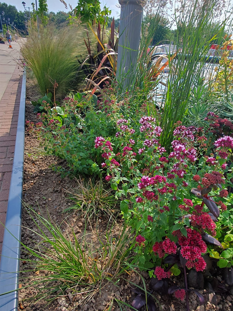 landscaping in a parking lot