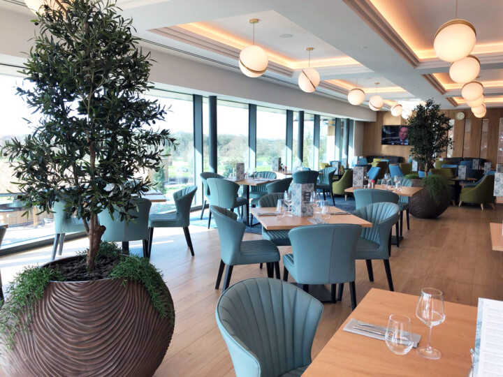 indoor plants displayed in an open sittting area