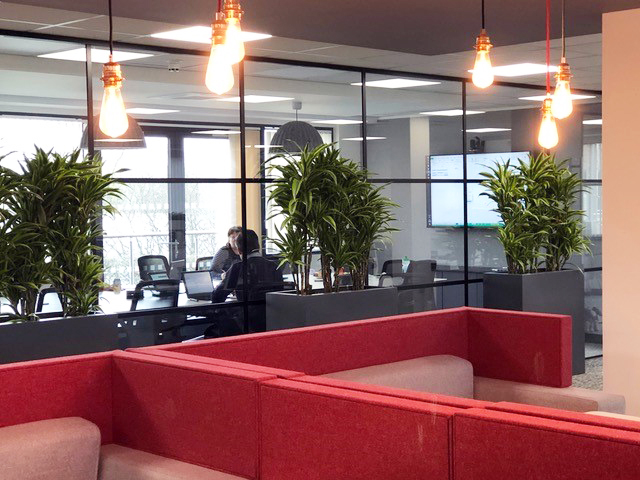 indoor plants displayed in an office area