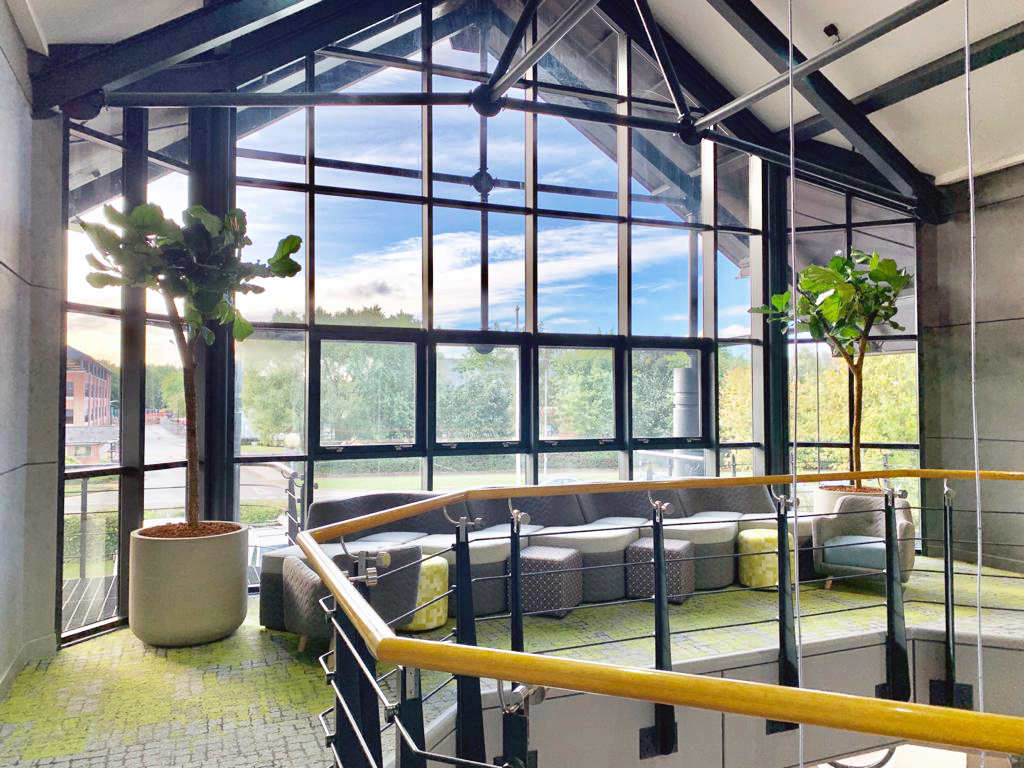 room with glass wall and large indoor plants