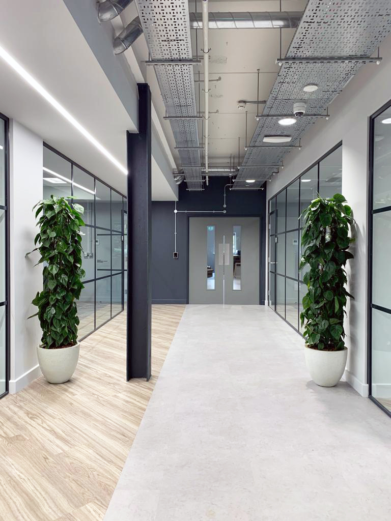 hallway with plants besides the wall