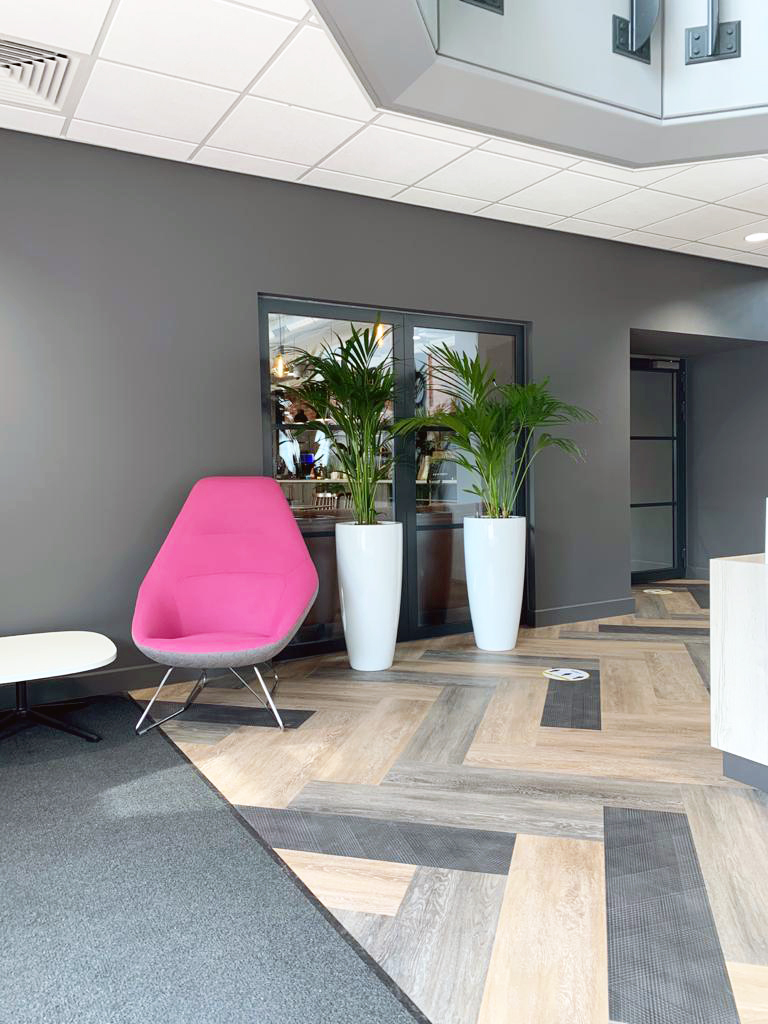 sitting area with plants by the window