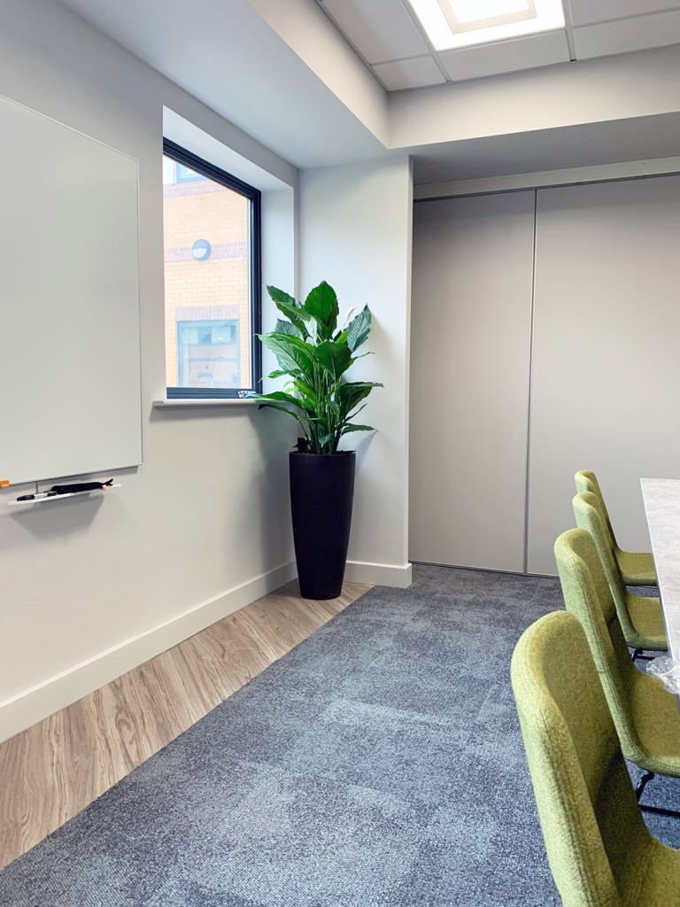 conference room with indoor plant in the corner