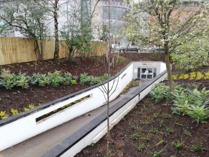 entrance with a green garden