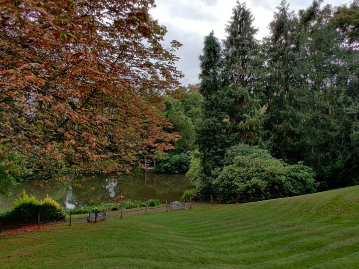 lake surrounded by an open field with plants and trees