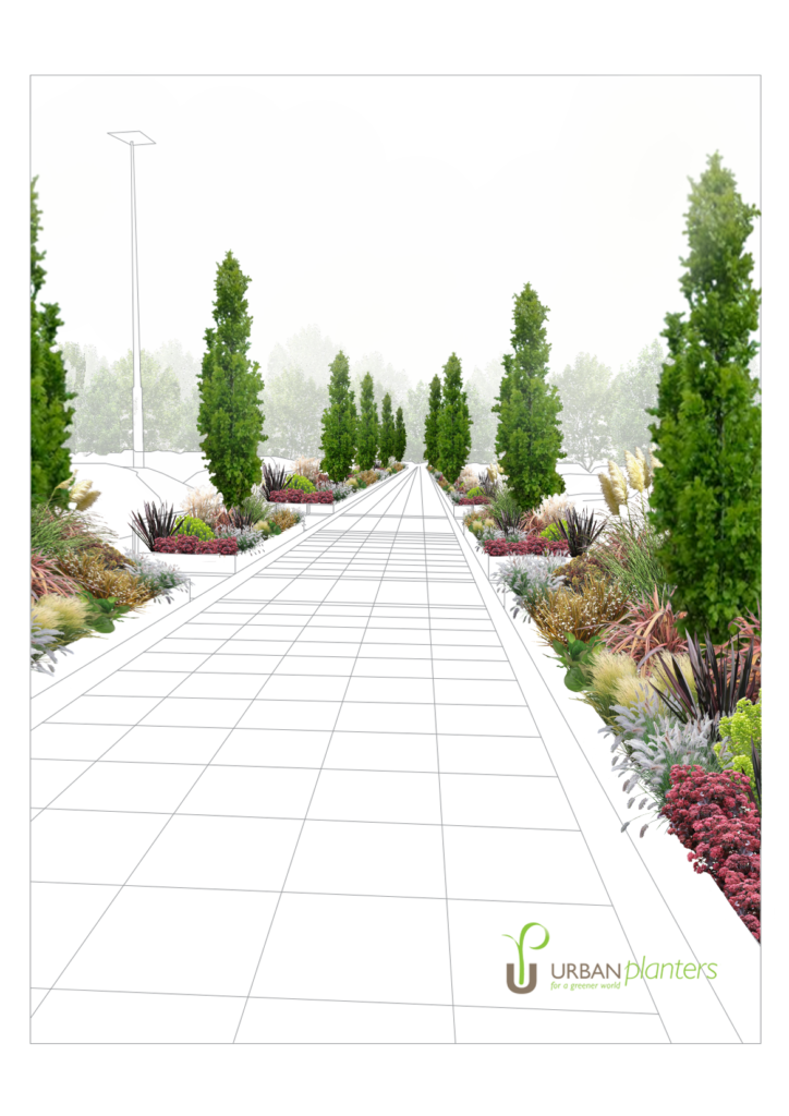 plan of landscaping in a parking lot