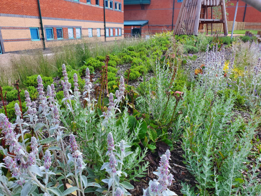 landscaping outside brick building