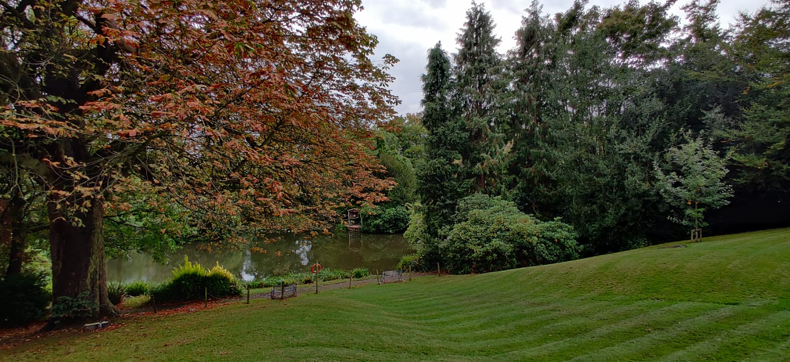 lake surrounded by an open field with plants and trees