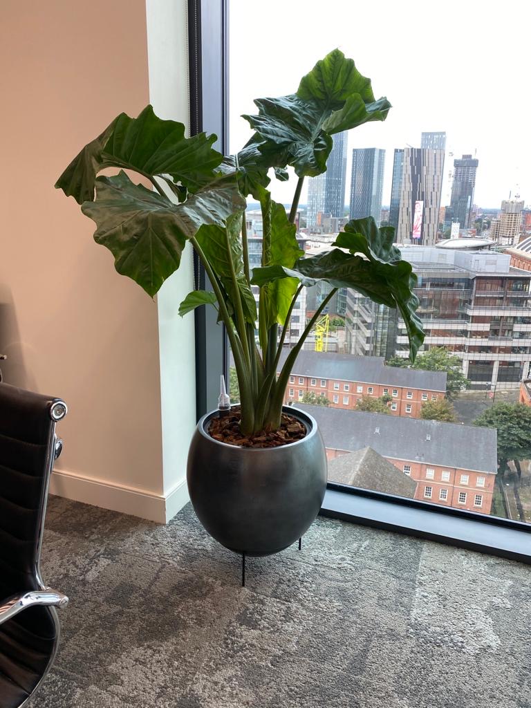 sitting area with a indoor plant by the window and a view 