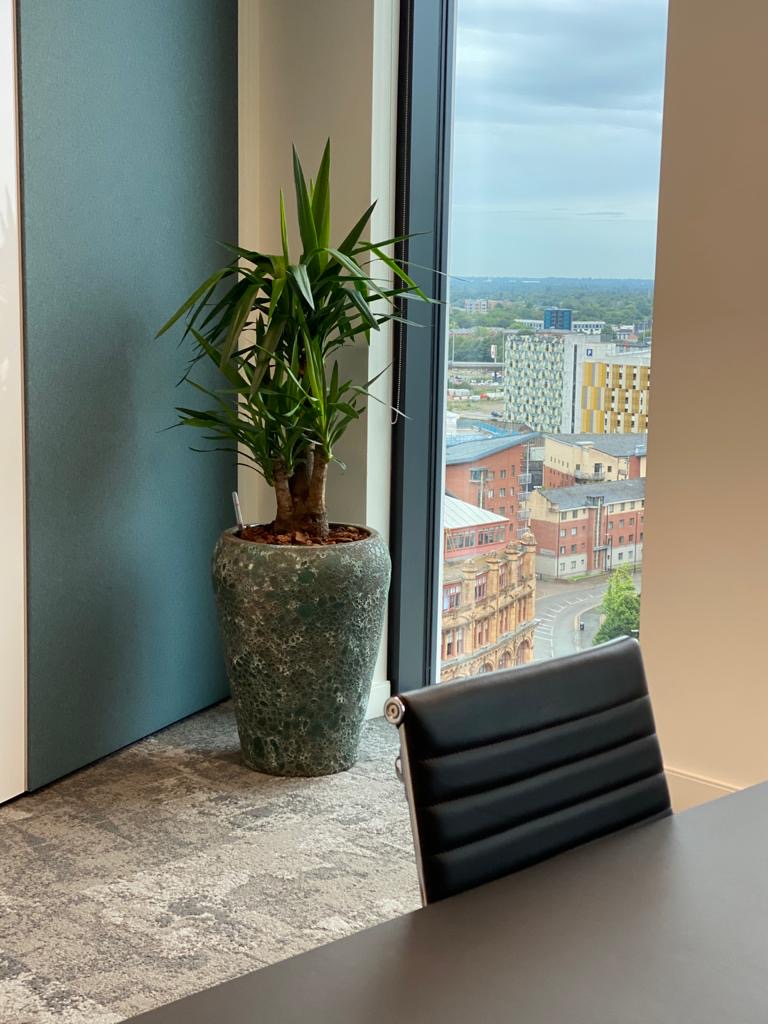 sitting area with a indoor plant by the window and a view 