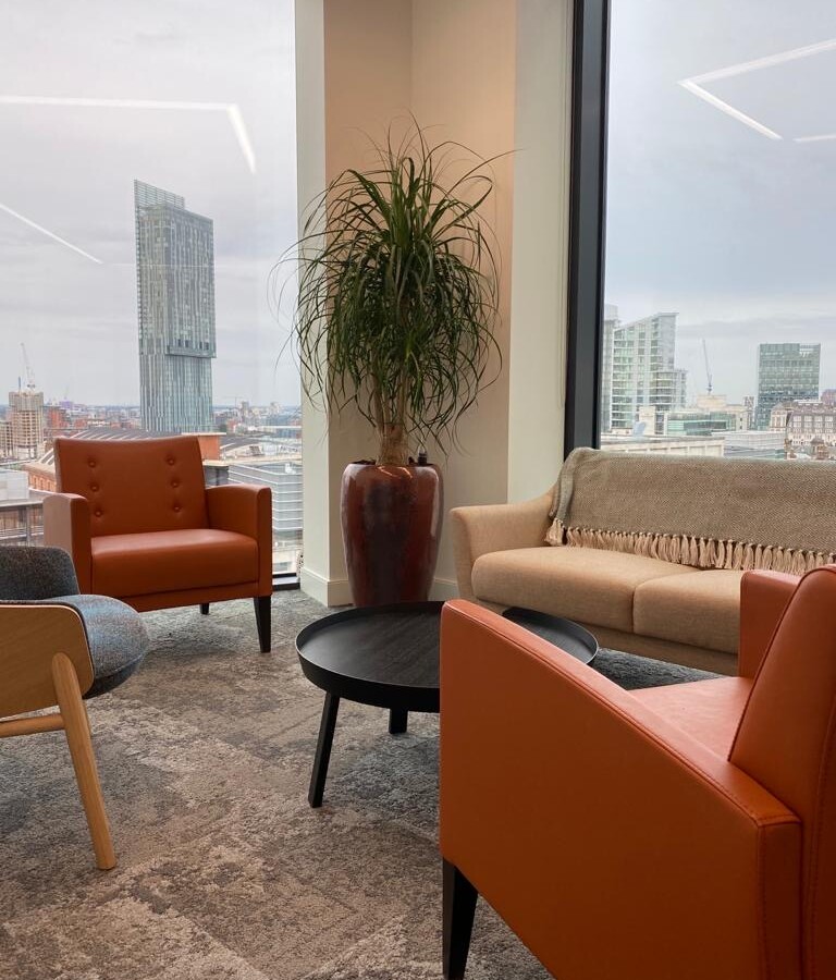 sitting area with a plant in the corner and a lovely view