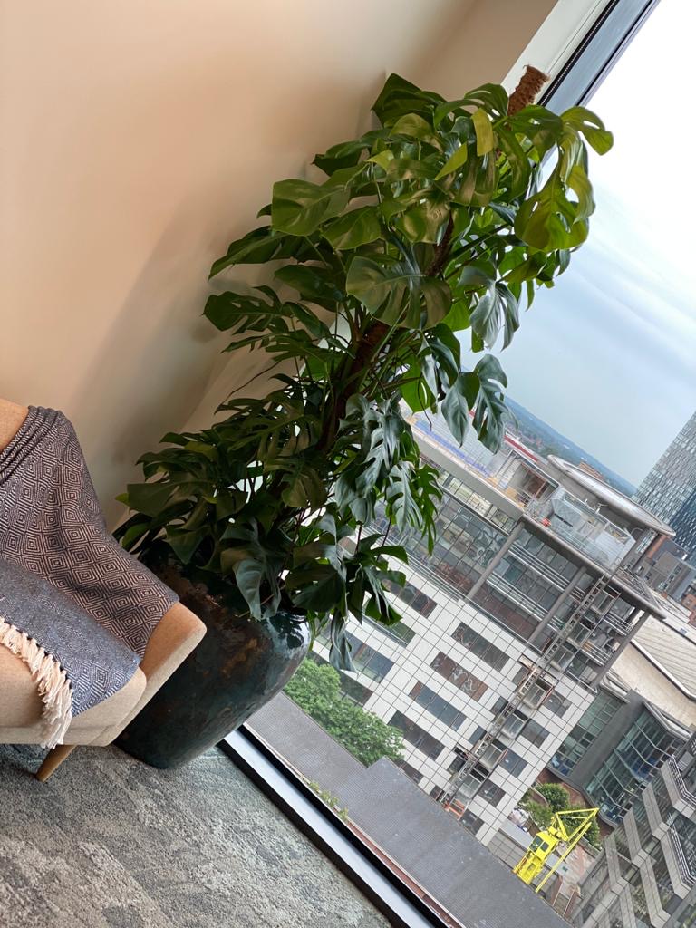 sitting area with a indoor plant by the window and a view 