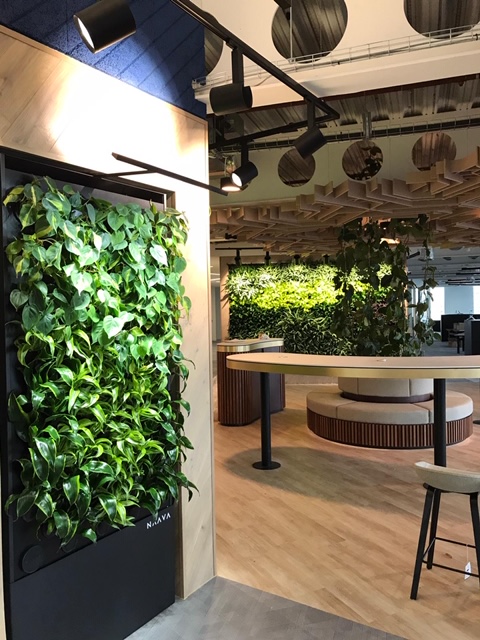 open room with plant walls